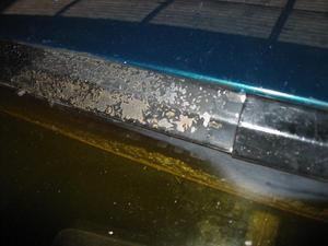 car_stuff 016.jpg